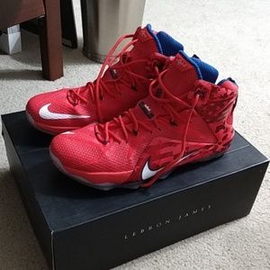 LeBron 12